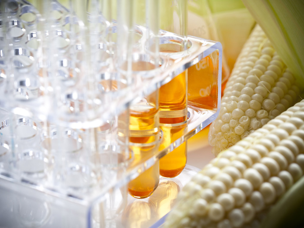 Agricultural, Biofuels & Vegetable Oil Cargo Inspection